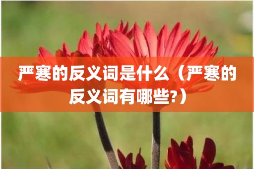严寒的反义词是什么(严寒的反义词有哪些?)
