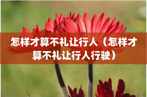怎样才算不礼让行人（怎样才算不礼让行人行驶）