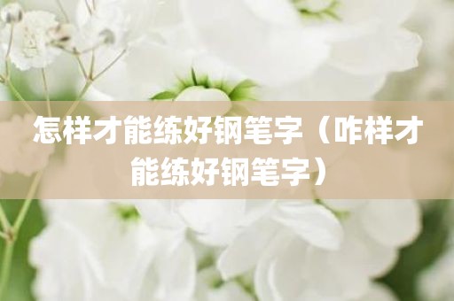 怎样才能练好钢笔字（咋样才能练好钢笔字）