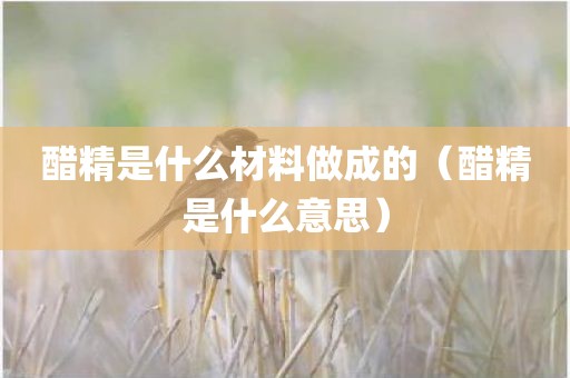 醋精是什么材料做成的（醋精是什么意思）