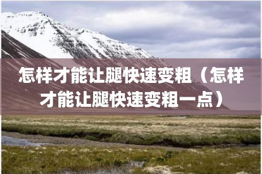 怎样才能让腿快速变粗（怎样才能让腿快速变粗一点）