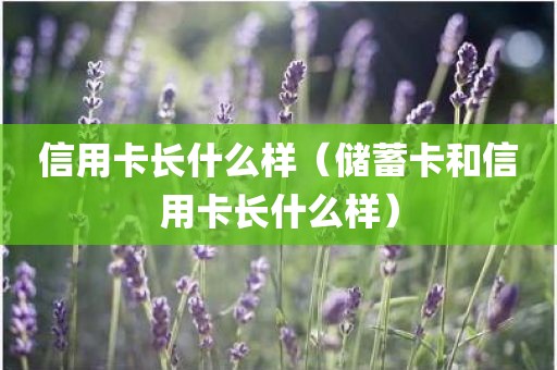 信用卡长什么样（储蓄卡和信用卡长什么样）