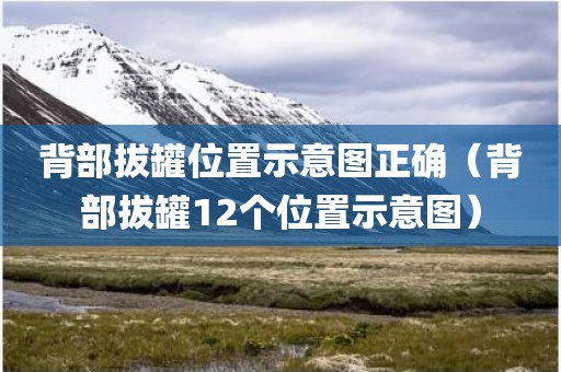背部拔罐位置示意图正确（背部拔罐12个位置示意图）