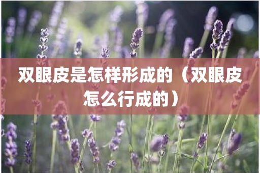 双眼皮是怎样形成的（双眼皮怎么行成的）