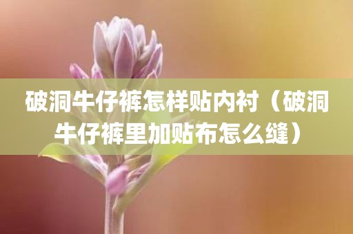 破洞牛仔裤怎样贴内衬（破洞牛仔裤里加贴布怎么缝）