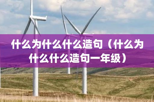 什么为什么什么造句（什么为什么什么造句一年级）