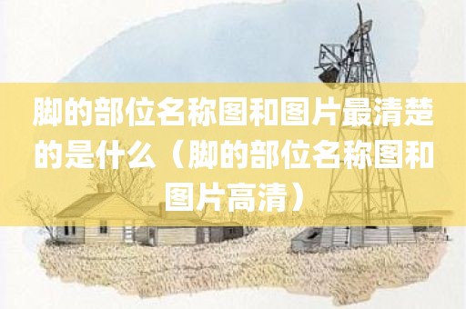 脚的部位名称图和图片最清楚的是什么（脚的部位名称图和图片高清）