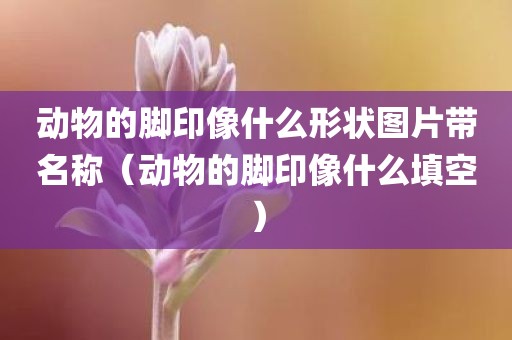 动物的脚印像什么形状图片带名称（动物的脚印像什么填空）