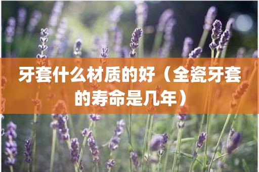 牙套什么材质的好（全瓷牙套的寿命是几年）