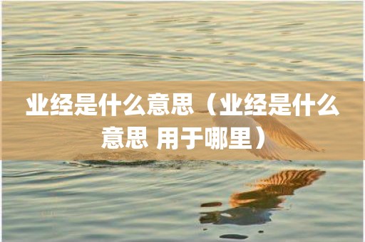 业经是什么意思(业经是什么意思 用于哪里) 业经是什么意思(业经是什么意思 用于哪里)