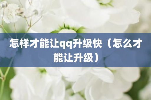 怎样才能让qq升级快（怎么才能让升级）