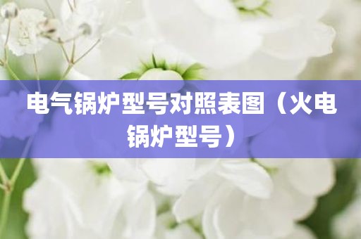 电气锅炉型号对照表图（火电锅炉型号）