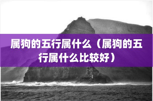 属狗的五行属什么（属狗的五行属什么比较好）