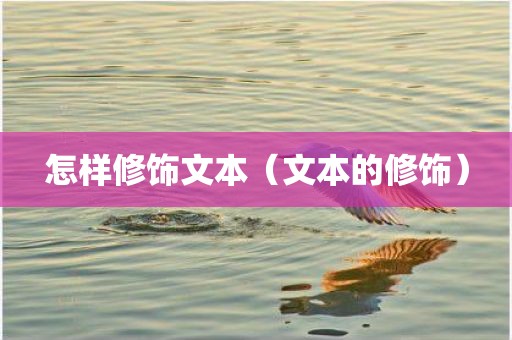 怎样修饰文本（文本的修饰）