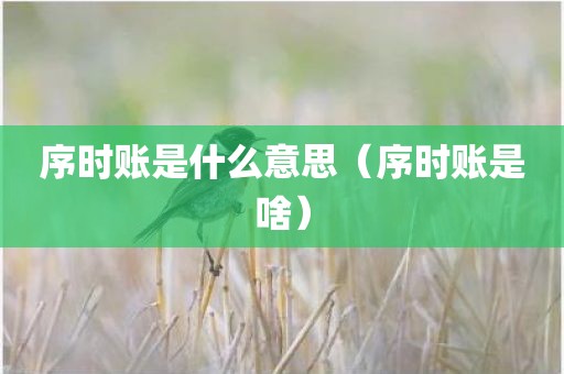 序时账是什么意思（序时账是啥）