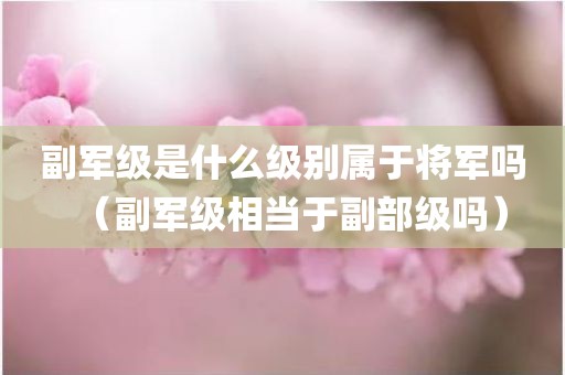 副军级是什么级别属于将军吗（副军级相当于副部级吗）