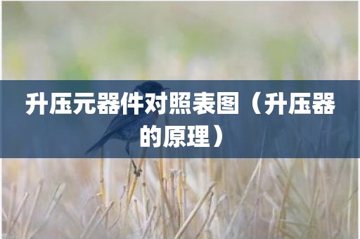 升压元器件对照表图（升压器的原理）