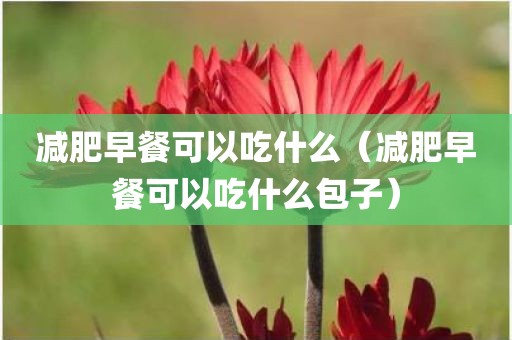 减肥早餐可以吃什么（减肥早餐可以吃什么包子）