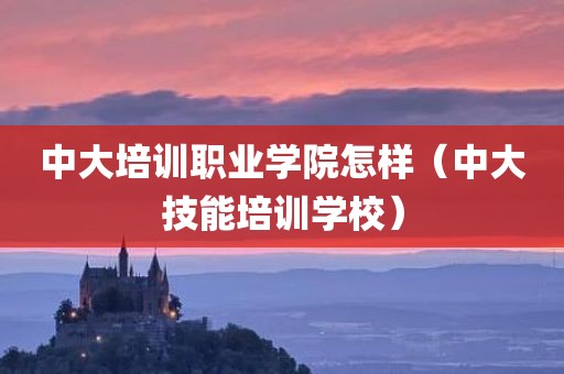 中大培训职业学院怎样（中大技能培训学校）