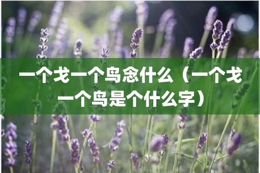 一个戈一个鸟念什么（一个戈一个鸟是个什么字）