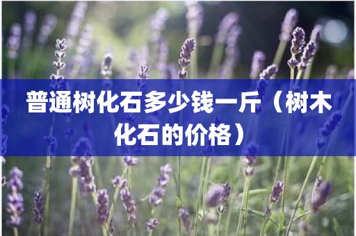 普通树化石多少钱一斤（树木化石的价格）