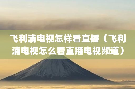 飞利浦电视怎样看直播（飞利浦电视怎么看直播电视频道）
