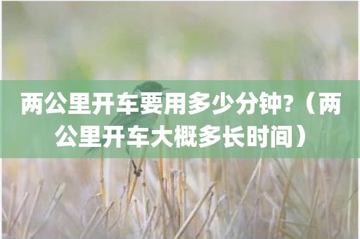 两公里开车要用多少分钟?(两公里开车大概多长时间) 两公里开车要用多少分钟?(两公里开车大概多长时间)