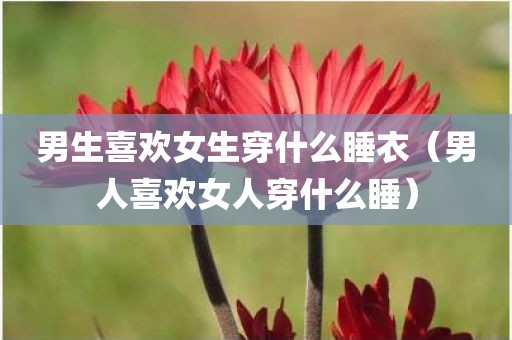 男生喜欢女生穿什么睡衣（男人喜欢女人穿什么睡）