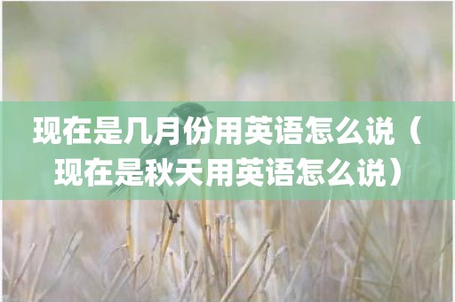 现在是几月份用英语怎么说（现在是秋天用英语怎么说）