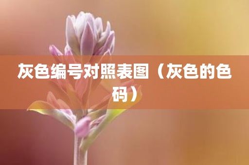 灰色编号对照表图（灰色的色码）