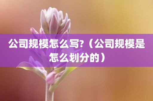 公司规模怎么写?（公司规模是怎么划分的）