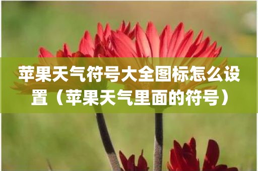 苹果天气符号大全图标怎么设置（苹果天气里面的符号）