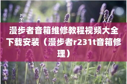 漫步者音箱维修教程视频大全下载安装（漫步者r231t音箱修理）