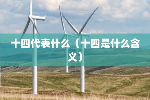 十四代表什么（十四是什么含义）