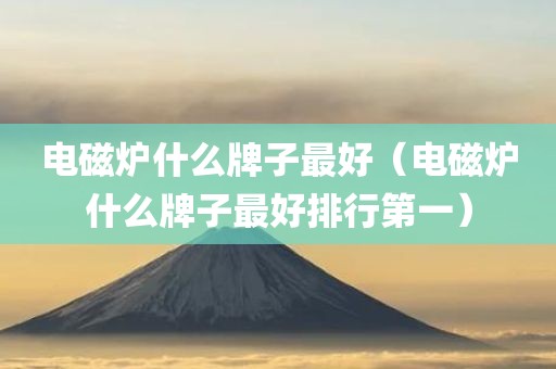 电磁炉什么牌子最好（电磁炉什么牌子最好排行第一）
