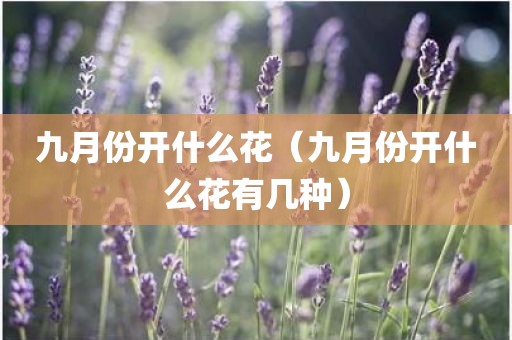 九月份开什么花（九月份开什么花有几种）