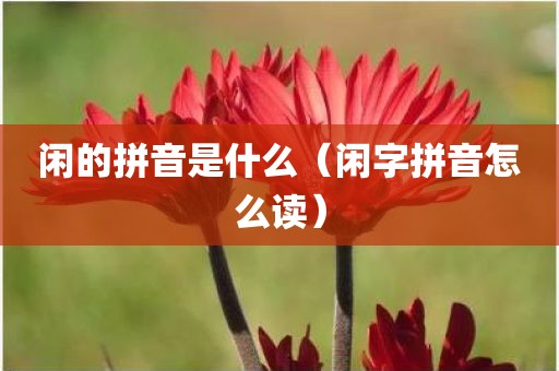闲的拼音是什么（闲字拼音怎么读）