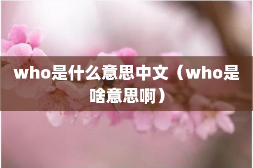 who是什么意思中文（who是啥意思啊）
