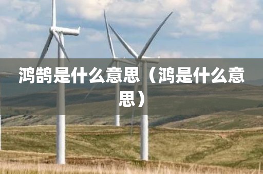 鸿鹄是什么意思（鸿是什么意思）