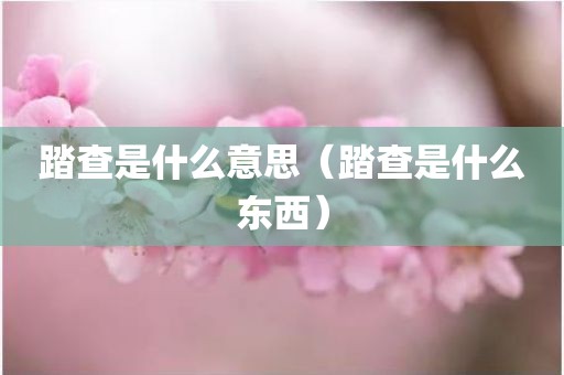 踏查是什么意思（踏查是什么东西）