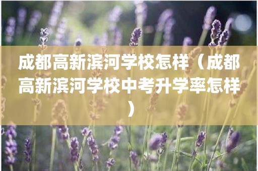 成都高新滨河学校怎样(成都高新滨河学校中考升学率怎样)