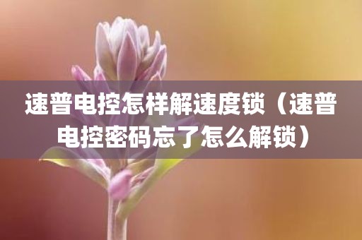 速普电控怎样解速度锁（速普电控密码忘了怎么解锁）