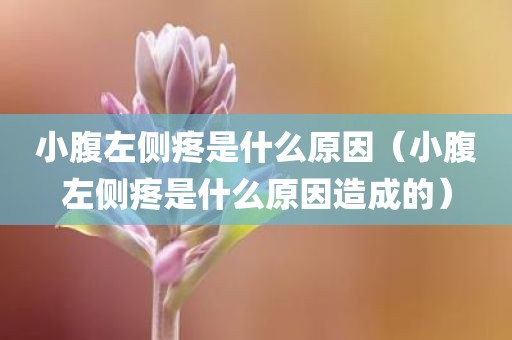 小腹左侧疼是什么原因（小腹左侧疼是什么原因造成的）
