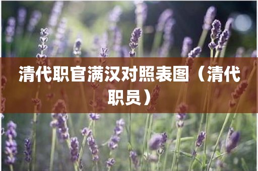 清代职官满汉对照表图（清代职员）