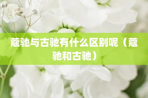 蔻驰与古驰有什么区别呢（蔻驰和古驰）