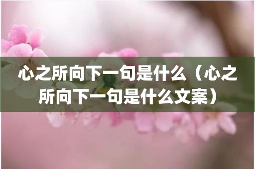 心之所向下一句是什么（心之所向下一句是什么文案）