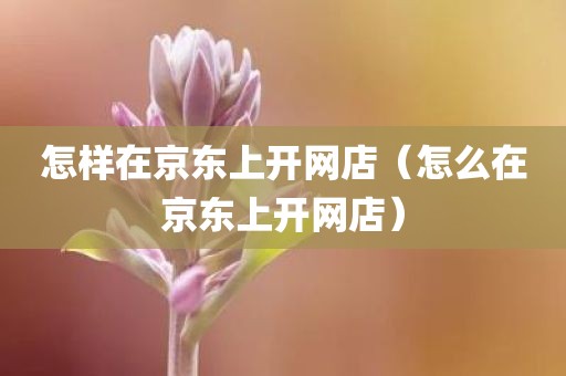 怎样在京东上开网店（怎么在京东上开网店）