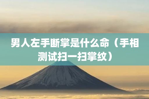 男人左手断掌是什么命（手相测试扫一扫掌纹）