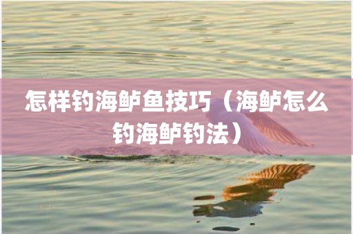 怎样钓海鲈鱼技巧（海鲈怎么钓海鲈钓法）