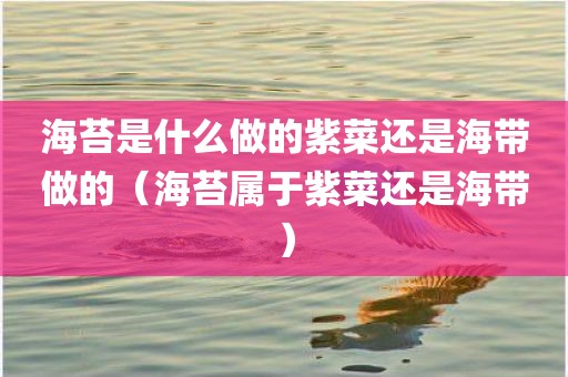 海苔是什么做的紫菜还是海带做的（海苔属于紫菜还是海带）